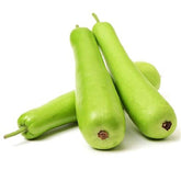 Long Dudhi / Bottle Gourd approx 600g (single) - Shaalis.com